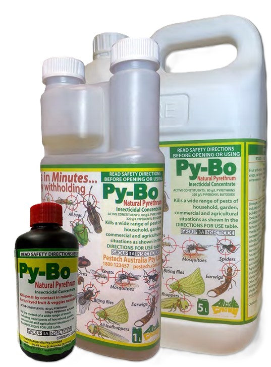 Bottles of Scintex Natural Pyrethrum Chemical Concentrate feature labels depicting ants, mosquitoes, and earwigs. As a natural insecticide concentrate, it asserts efficacy in eliminating various insects and is perfect for pest control. It is available in different sizes to meet your needs.